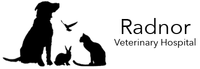 Radnor Veterinary Hospital